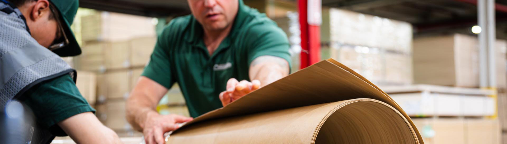 Two workers rolling a sheet of wood veneer