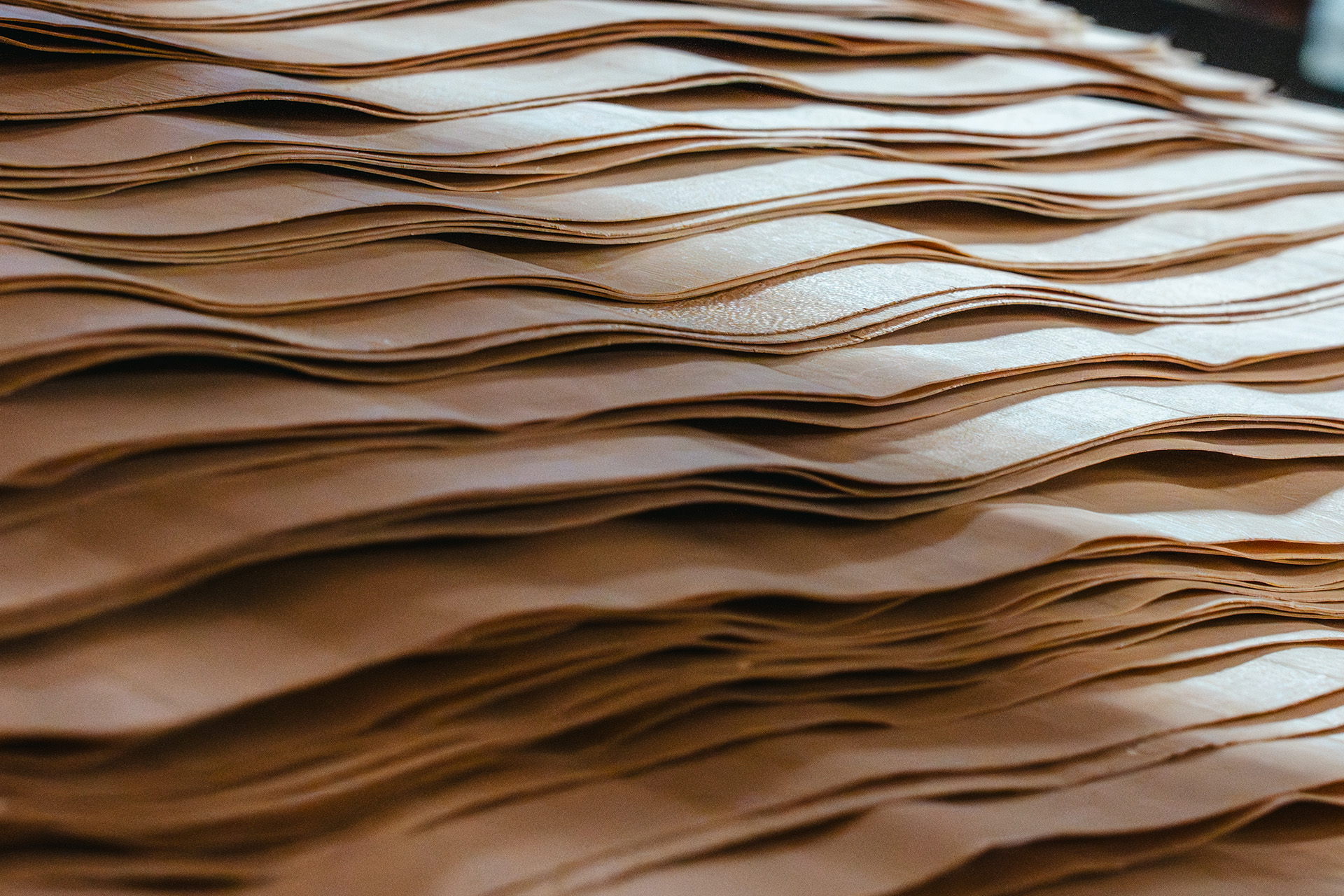 raw veneers landscape